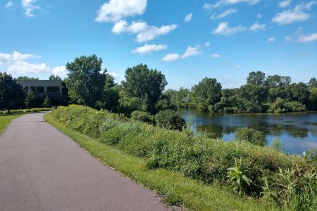 Pond Walking Path